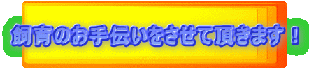 飼育のお手伝いをさせて頂きます!