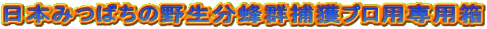 日本みつばちの野生分蜂群捕獲プロ用専用箱 